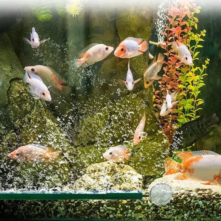 Fish Tank Oxygen Air Bubble Bar