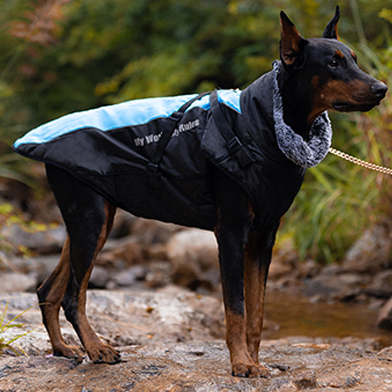 🎁Early Christmas sale 80% off🔥🎄Waterproof Warm Vest Jacket for Dog