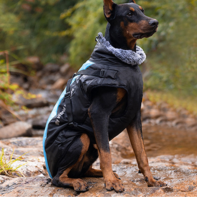 🎁Early Christmas sale 80% off🔥🎄Waterproof Warm Vest Jacket for Dog