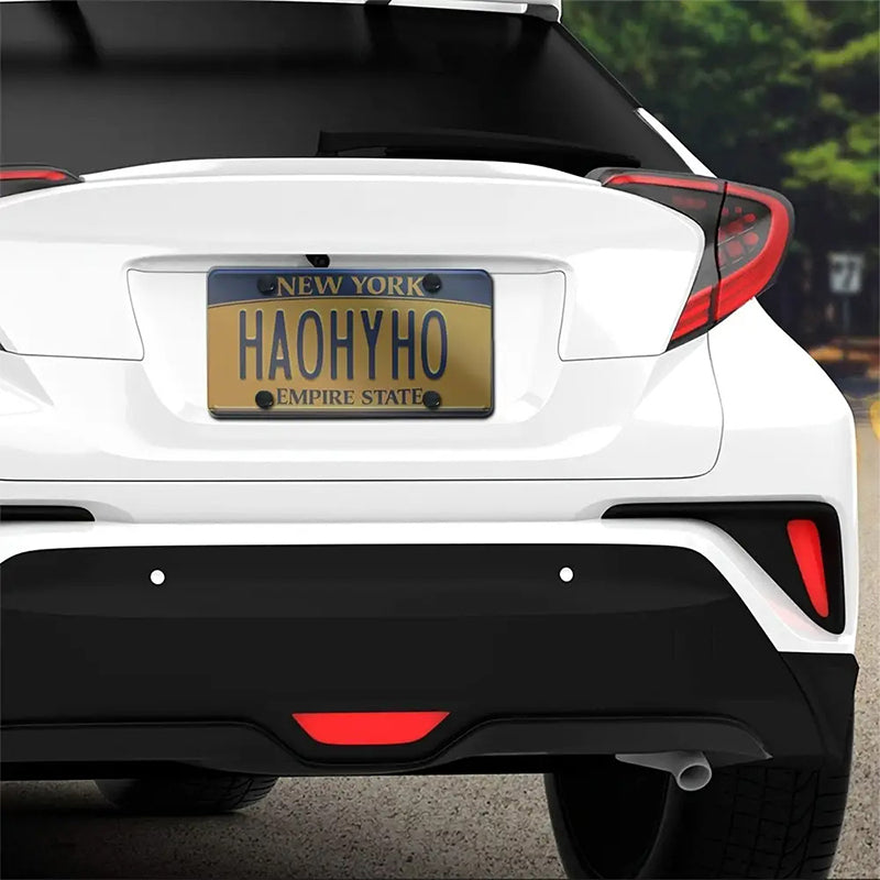 Privacy License Plate Cover Protector 2-Piece Set