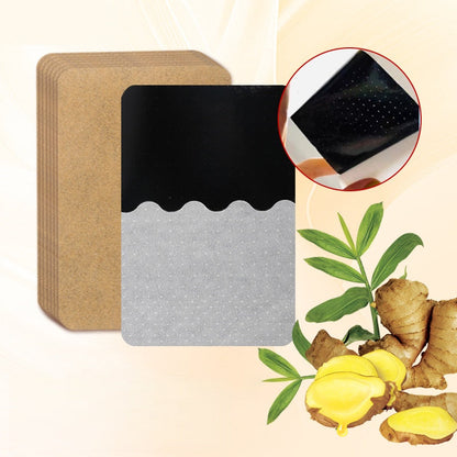 🔥5 Bags / Pack🔥Universal Moxibustion Plaster Patch for Whole Body