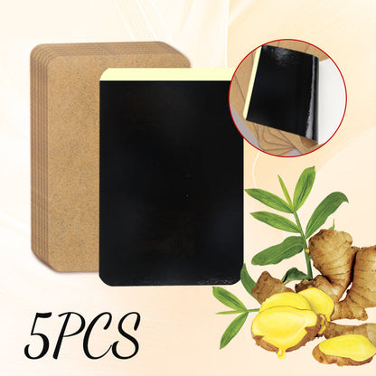 🔥5 Bags / Pack🔥Universal Moxibustion Plaster Patch for Whole Body
