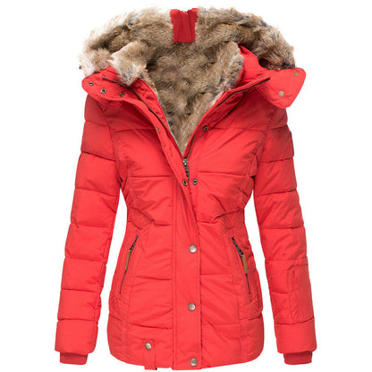 ✨ Warm & Streamlined ❄️ Women's Slim-Fit Hooded Padded Jacket – Lightweight, Windproof & Figure-Flattering 🧥 Short Facebook Headline